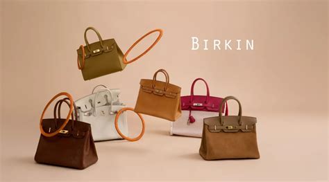 hermes birkin bag death.